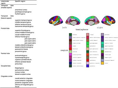 Relationship between lifestyle proxies of cognitive reserve and cortical regions in older adults